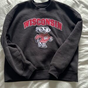 Wisconsin Badgers Holister Crew